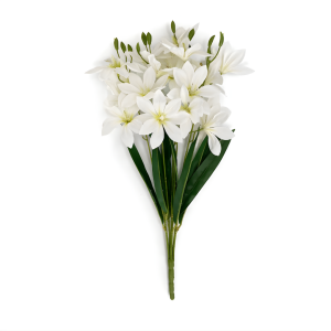 Lilyum Aranjmanı | Islak Görünümlü | 60 cm
