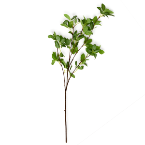 Yeşil Bitki Aranjmanı - Ara Dal | 90 cm